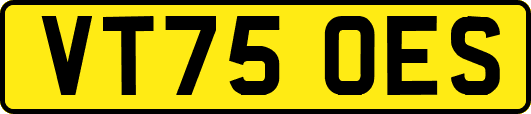 VT75OES