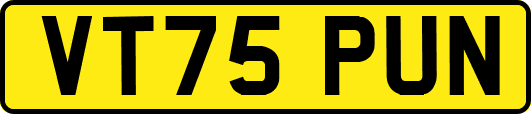 VT75PUN