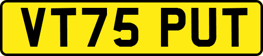 VT75PUT