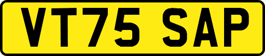 VT75SAP