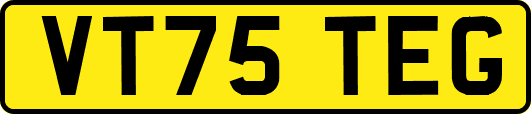 VT75TEG