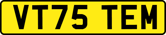 VT75TEM