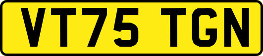 VT75TGN