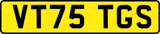 VT75TGS