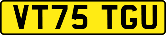 VT75TGU