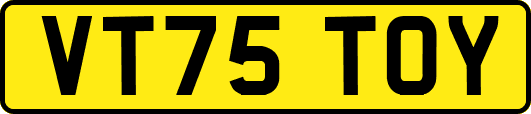 VT75TOY
