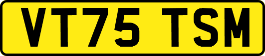 VT75TSM