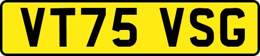 VT75VSG