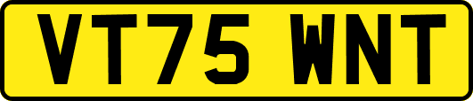 VT75WNT