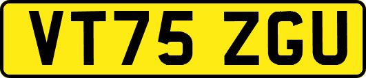 VT75ZGU