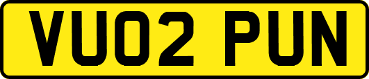 VU02PUN