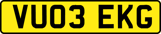 VU03EKG