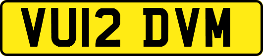 VU12DVM