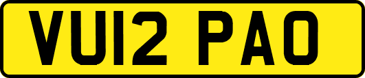 VU12PAO