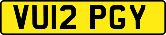 VU12PGY