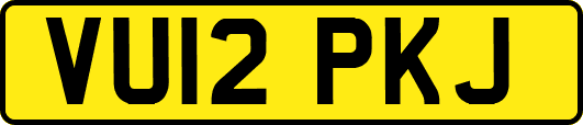 VU12PKJ