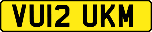 VU12UKM