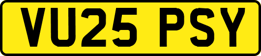 VU25PSY