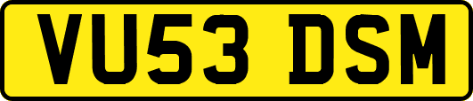 VU53DSM