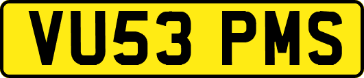 VU53PMS