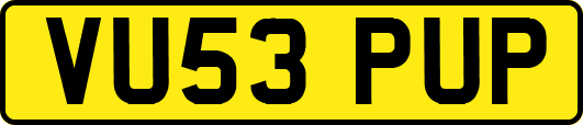 VU53PUP