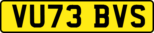 VU73BVS