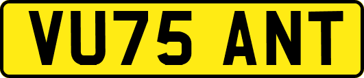VU75ANT