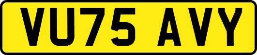 VU75AVY