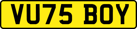 VU75BOY