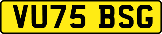 VU75BSG