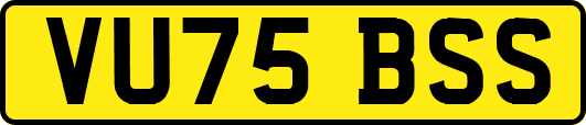 VU75BSS