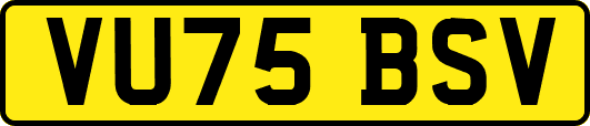VU75BSV