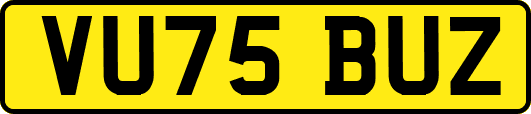 VU75BUZ