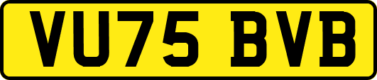 VU75BVB