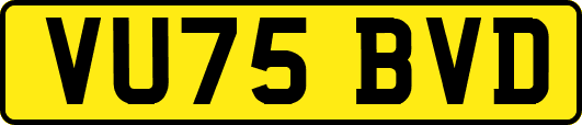 VU75BVD