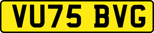 VU75BVG