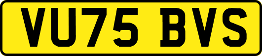 VU75BVS