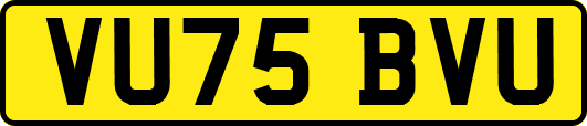 VU75BVU