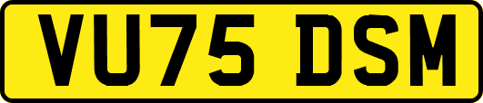 VU75DSM