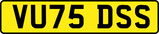 VU75DSS