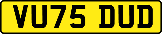 VU75DUD