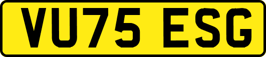 VU75ESG