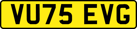VU75EVG