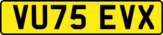 VU75EVX