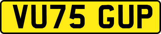 VU75GUP