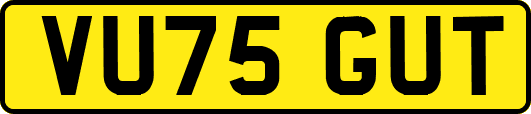 VU75GUT