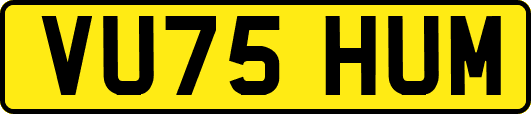 VU75HUM