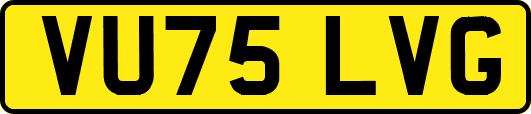 VU75LVG