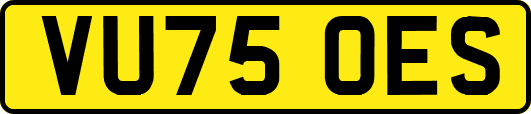 VU75OES