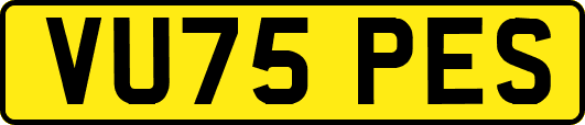VU75PES